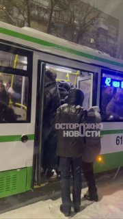 Иллюстрация 1