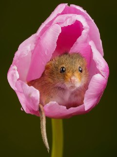 Иллюстрация 2