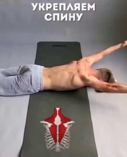 Упражнения для спины