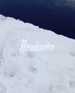 Иллюстрация 2