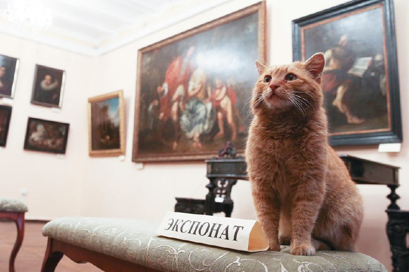 История кошачьей службы в Эрмитаже