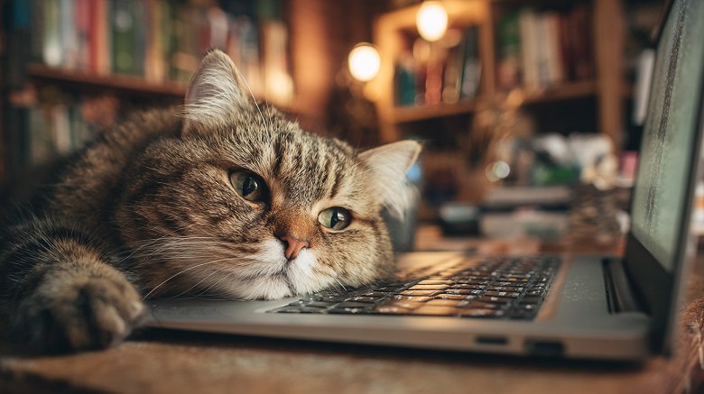 Утечка данных в ИИ: российские компании столкнулись с резким ростом рисков