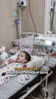 Иллюстрация 1