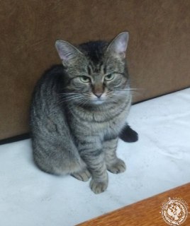 Иллюстрация 4