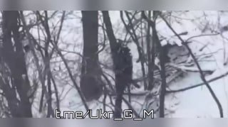 Уничтожение укрытий и живой силы ВСУ в Северском направлении