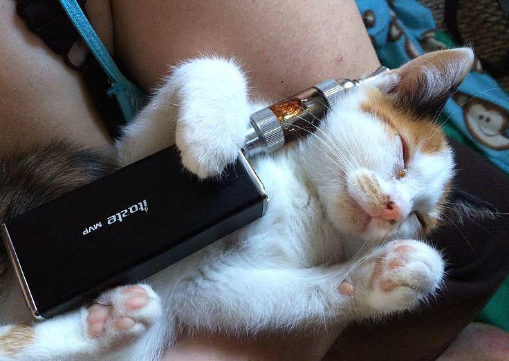 Вейпы негативно влияют на психику, повышая риск депрессии