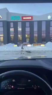 Роботы не заменят дворников