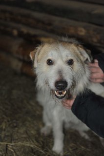 Иллюстрация 3