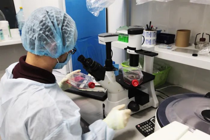 Эпштейн обсуждал проект создания "дизайнерских детей" с ученым в украинской лаборатории