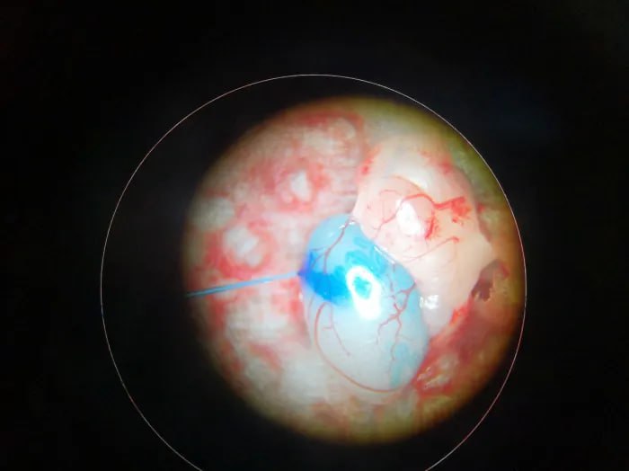 Иллюстрация 2