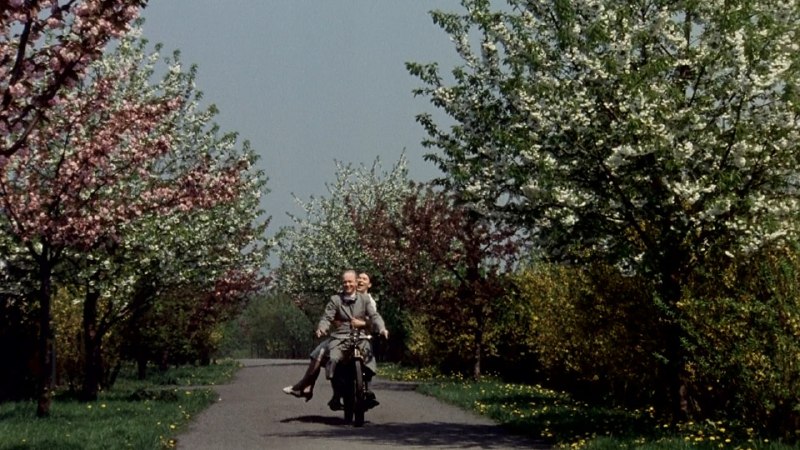 Рецензия на фильм «Германия, бледная мать»