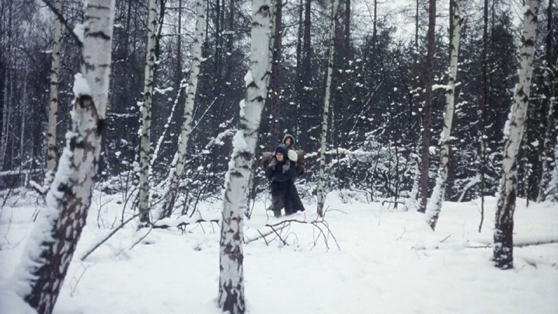 Иллюстрация 5