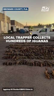 Иллюстрация 3