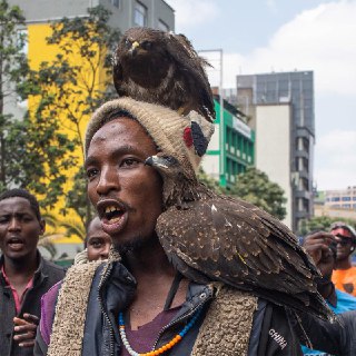 Иллюстрация 2