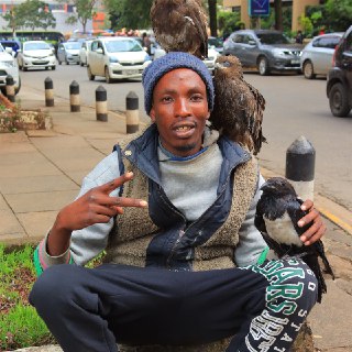 Иллюстрация 3