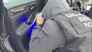 Миронов предложил снять мораторий на смертную казнь для террористов и педофилов