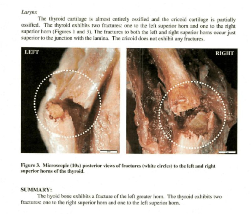 Иллюстрация 2