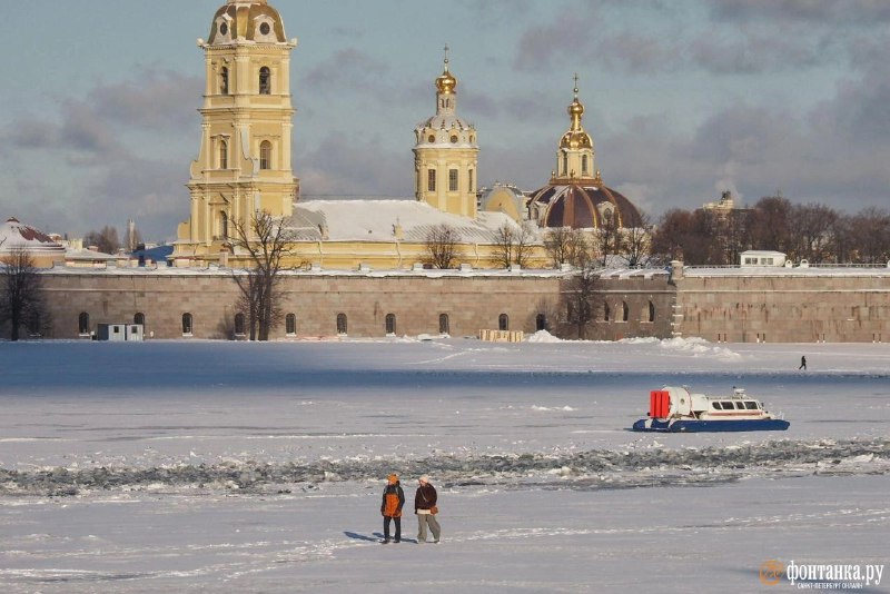 Иллюстрация 7