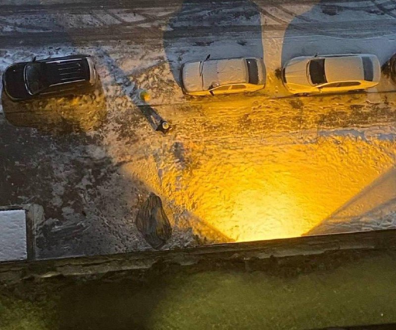 В Ленинградской области женщина выбросила детей из окна