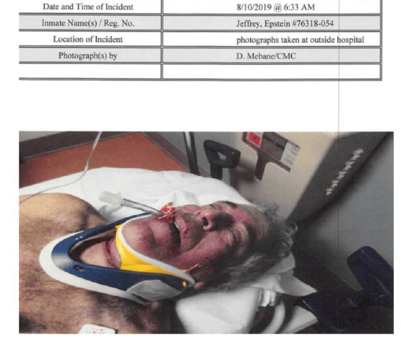 Иллюстрация 5