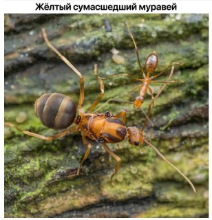 Иллюстрация 6