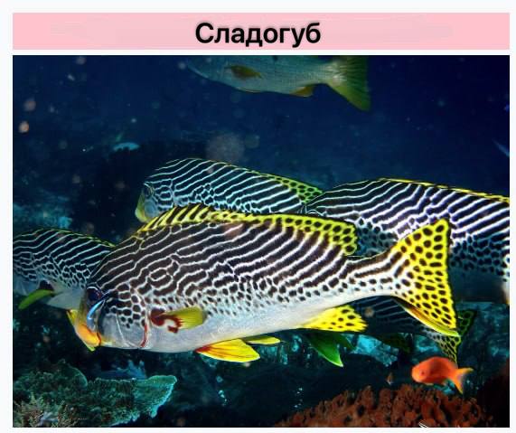 Иллюстрация 7