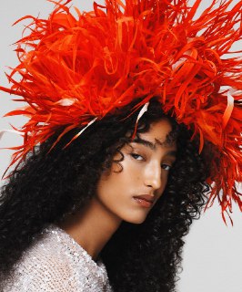 Иллюстрация 4