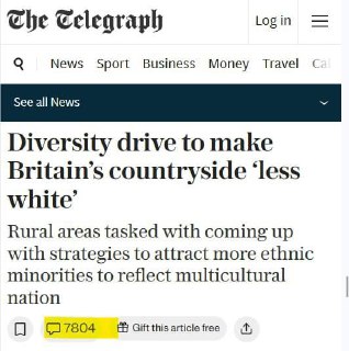 В Великобритании обсуждают инициативы по увеличению этнического разнообразия