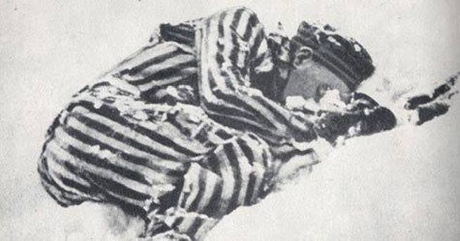 Иллюстрация 1