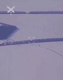 Иллюстрация 1