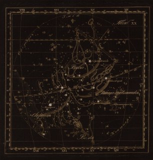 Иллюстрация 6