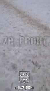 Запорожский фронт: Женщина обвинила полицию в преследовании мужчины