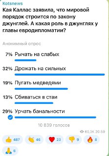 Оценка роли Кайи Каллас в европейской политике