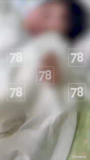 Иллюстрация 1