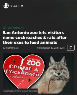 Американский зоопарк предлагает «скормить» тараканов именами бывших