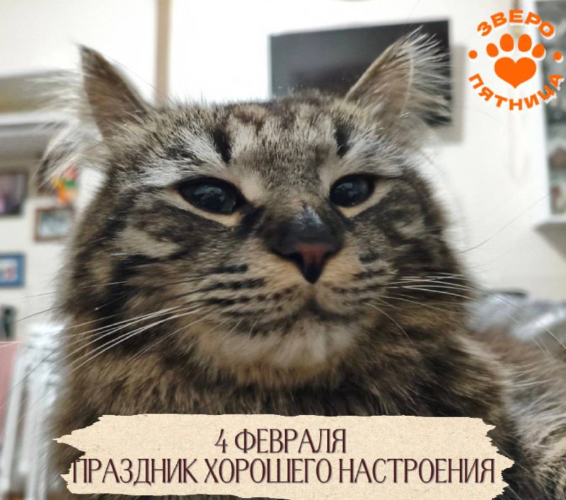 Призыв к хорошему настроению и анонс проекта «ЗвероПятница»