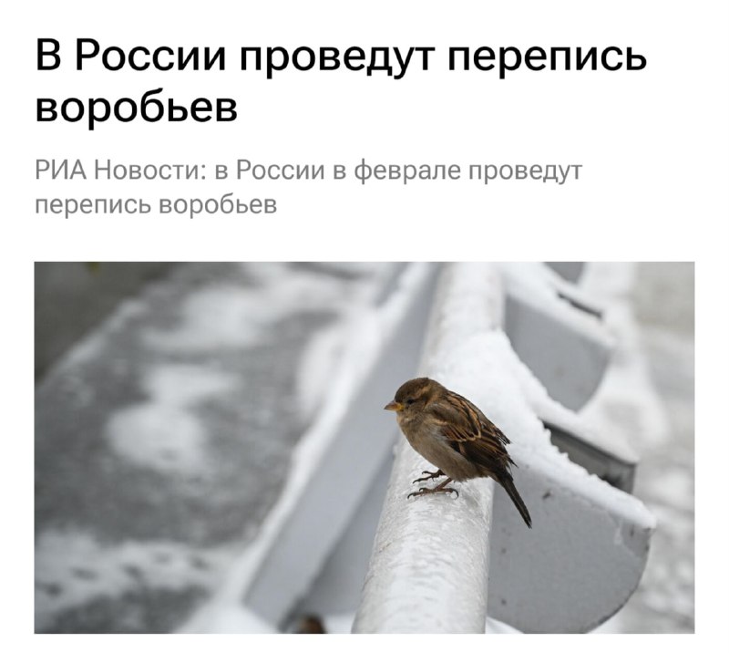В России пройдет Всероссийская перепись воробьев
