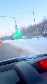 В Балашихе лось ждал автобус