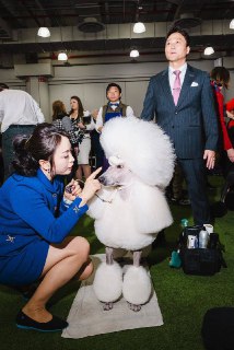 Иллюстрация 4