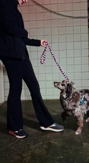 Иллюстрация 5