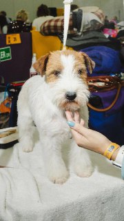 Иллюстрация 8