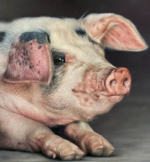 Иллюстрация 3