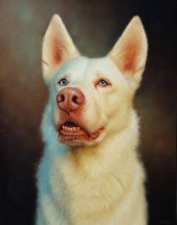 Иллюстрация 5