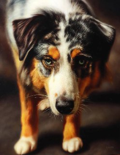 Иллюстрация 6