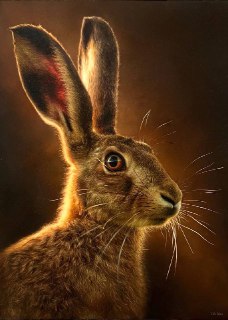 Иллюстрация 1