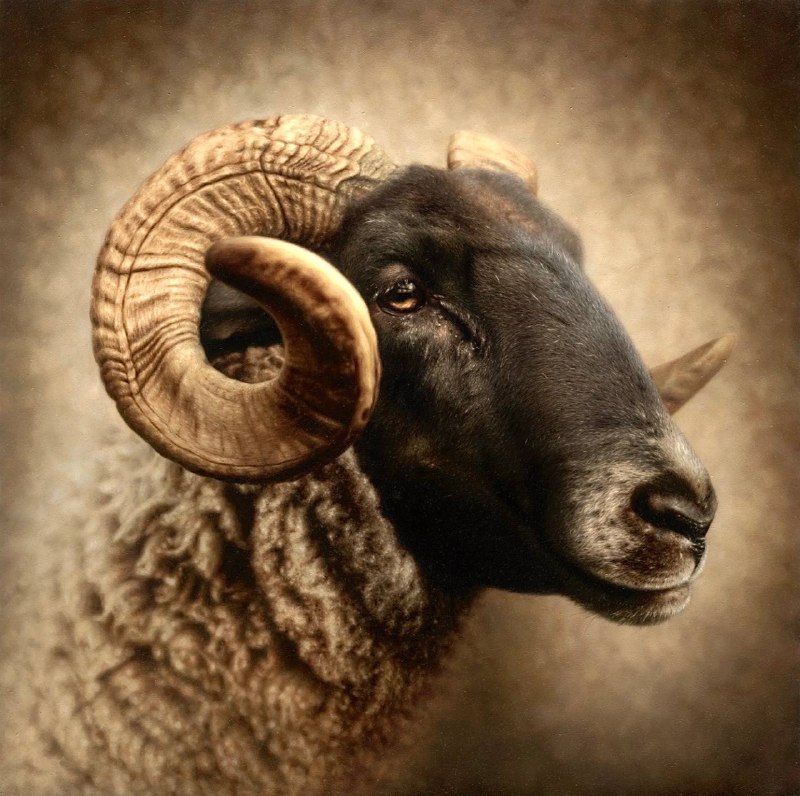 Иллюстрация 8