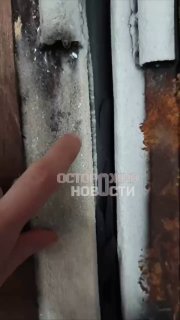 Иллюстрация 1