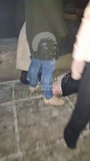 Иллюстрация 1