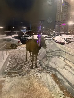 Иллюстрация 3