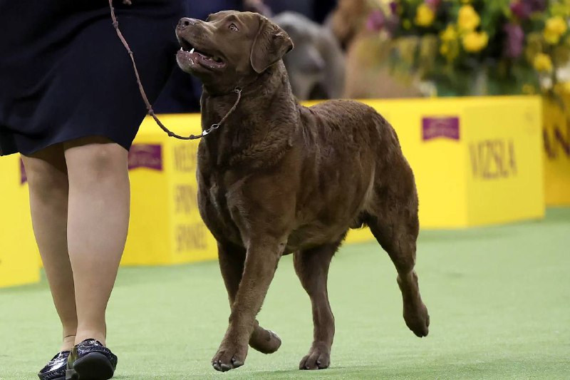 Иллюстрация 1